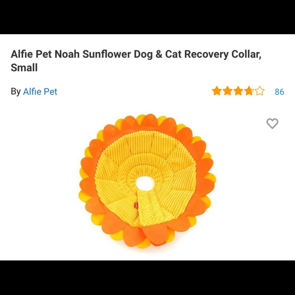 Never Used Dog Cone